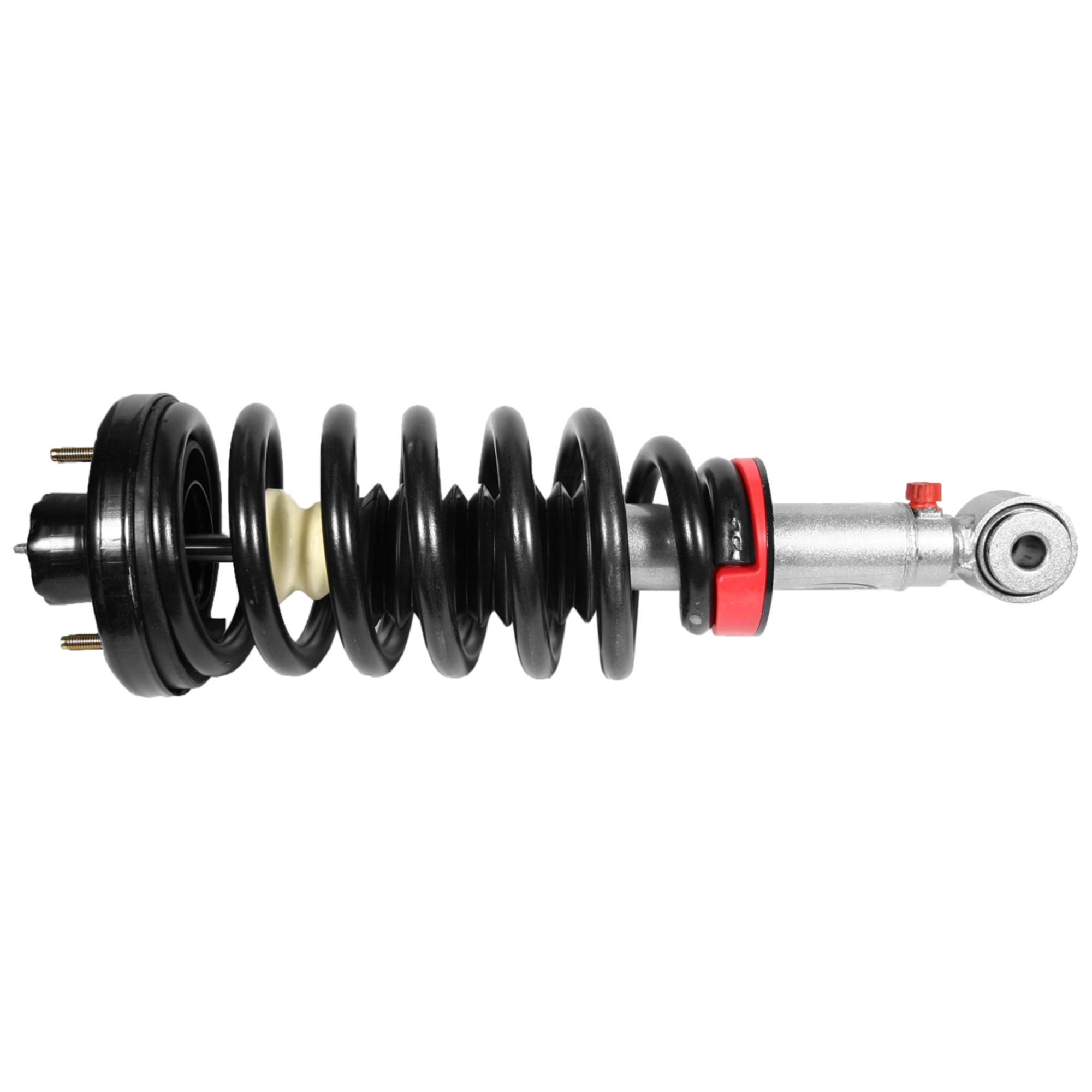 2006, 2005, 2004, 2003 Ford Expedition Suspension Strut and Coil Spring Assembly