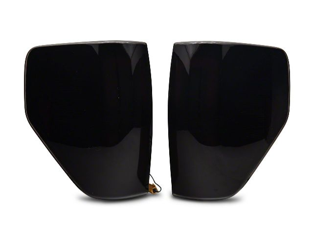 2009-2014 Ford F-150 Tail Light (Raxiom)