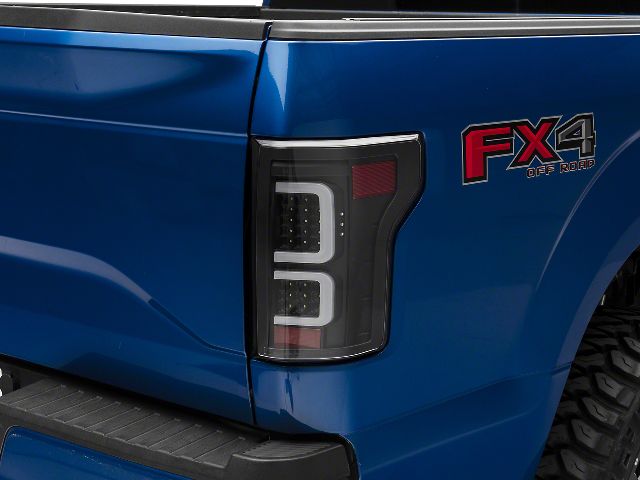 2015-2017 Ford F-150 Tail Light (Raxiom)