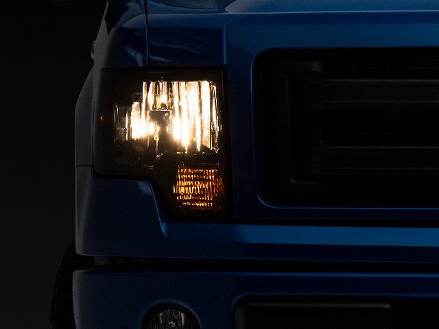 2009-2014 Ford F-150 Headlight (Raxiom)