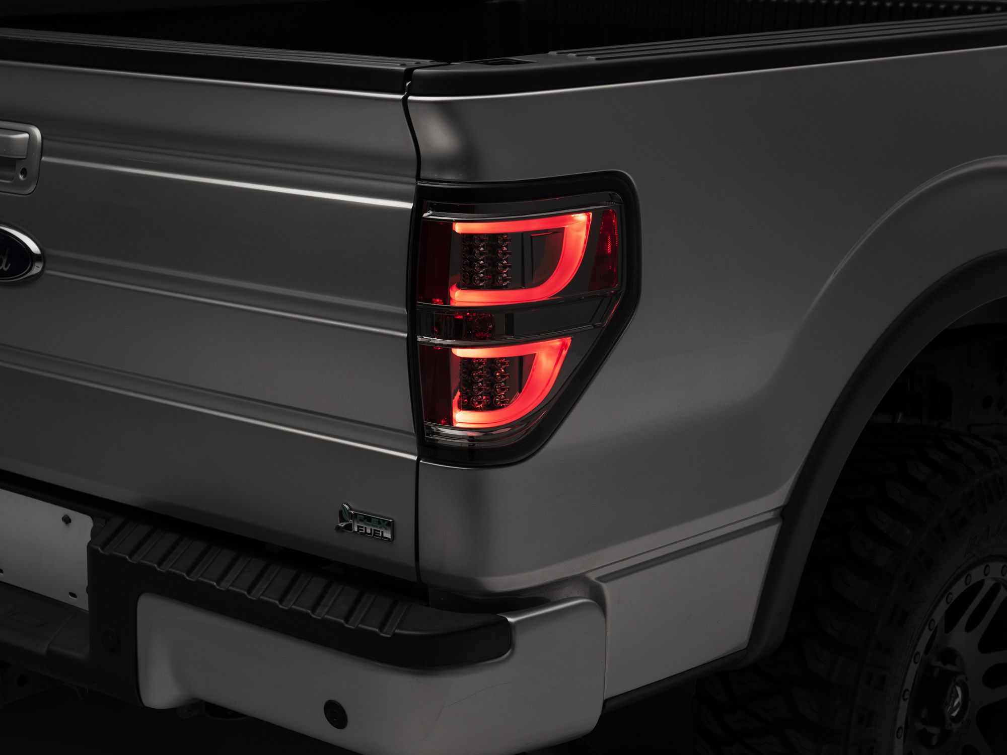 2014, 2013, 2012, 2011, 2010, 2009 Ford F-150 Tail Light