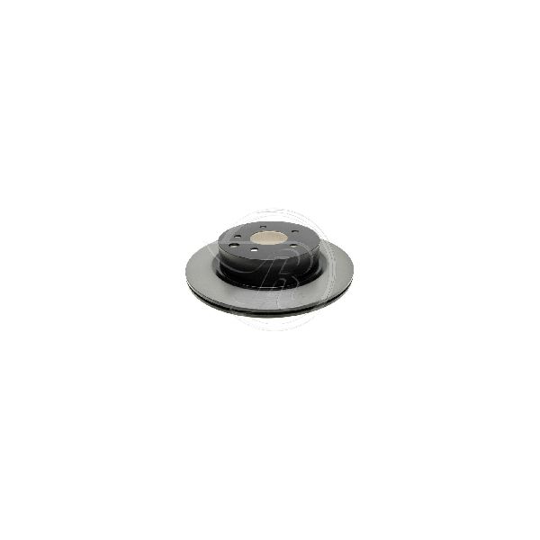 2009-2023 Nissan Maxima Disc Brake Rotor - Rear (Raybestos)