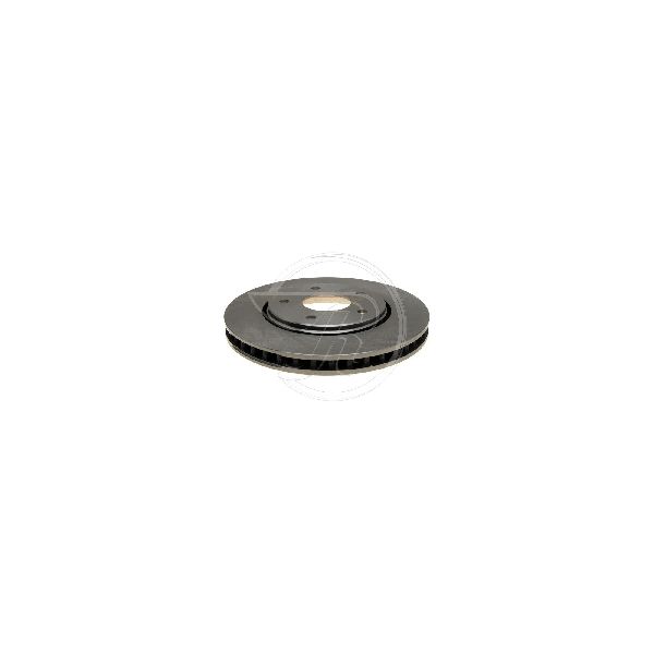 2008-2009 Dodge Grand Caravan Disc Brake Rotor - Front (Raybestos)