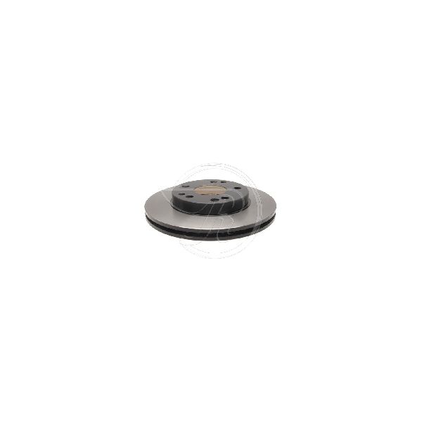 1987-1993 Mercedes-Benz 190E Disc Brake Rotor - Front (Raybestos)