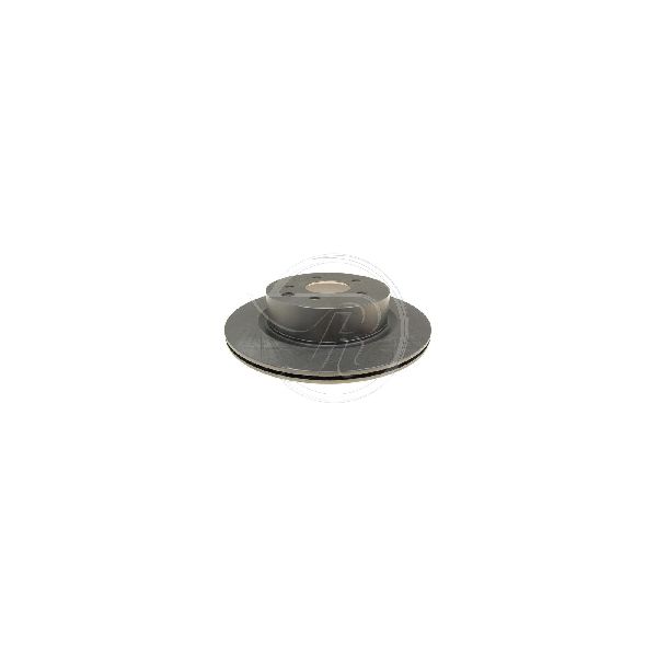 2009-2023 Nissan Maxima Disc Brake Rotor - Rear (Raybestos)