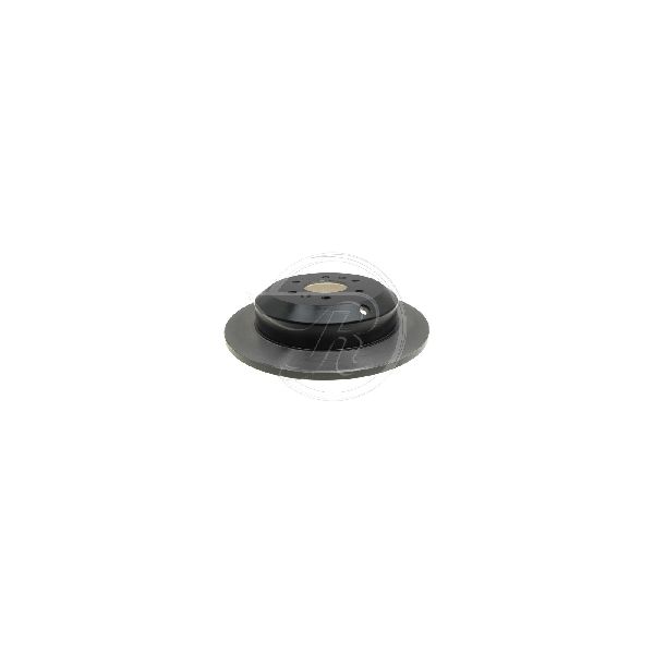 2009-2011 Kia Borrego Disc Brake Rotor - Rear (Raybestos)