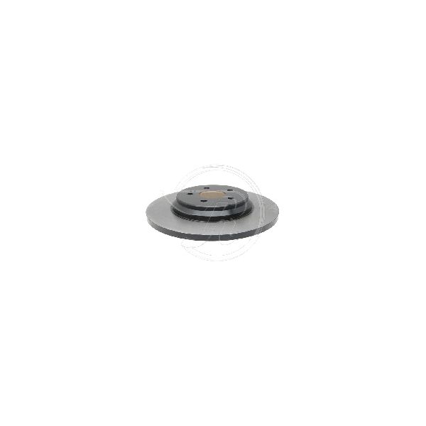 2002-2005 Mercedes-Benz ML500 Disc Brake Rotor - Rear (Raybestos)