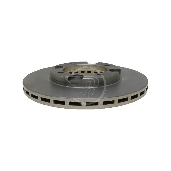 1977-1984 Peugeot 604 Disc Brake Rotor - Rear (Raybestos)
