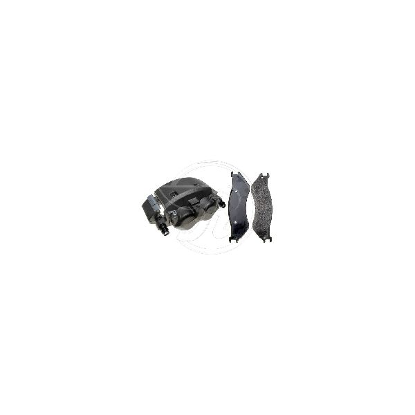 2001-2002 Dodge Ram 2500 Disc Brake Caliper - Rear Right (Raybestos)
