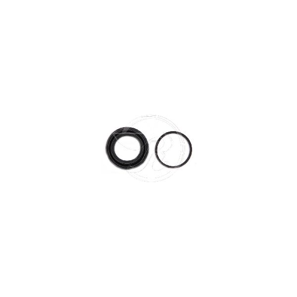 1990-1997 Lincoln Town Car Disc Brake Caliper Seal Kit - Rear (Raybestos)