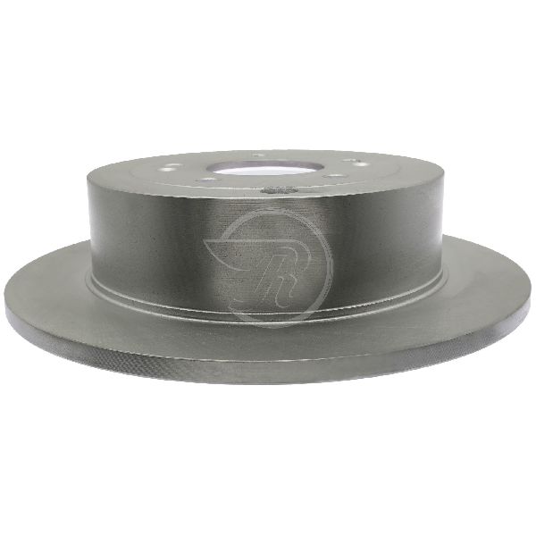 2007-2009 Hyundai Santa Fe Disc Brake Rotor - Rear (Raybestos)