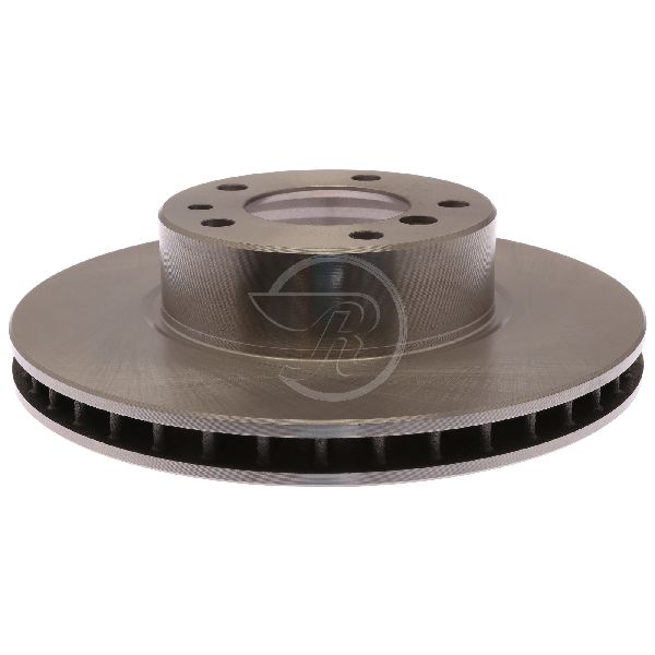 1993-1994 BMW 740i Disc Brake Rotor - Front (Raybestos)