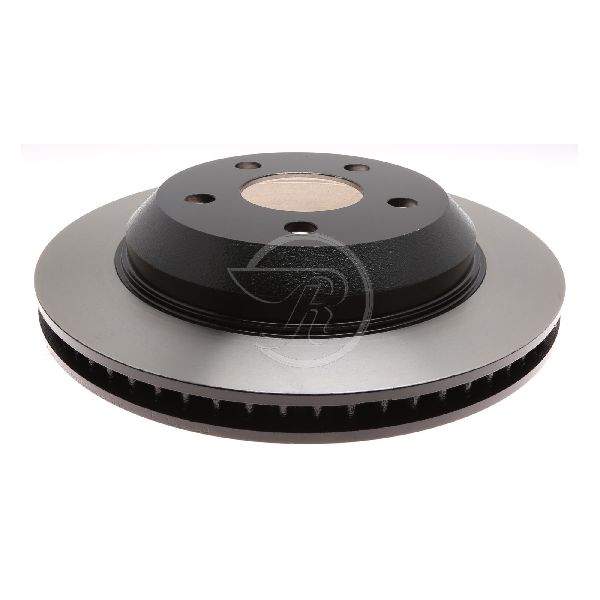 1998-2002 Pontiac Firebird Disc Brake Rotor - Rear (Raybestos)