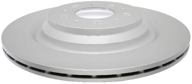 2017-2024 Tesla 3 Disc Brake Rotor - Rear (Raybestos)