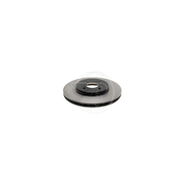2002-2004 Ford Focus Disc Brake Rotor - Front (Raybestos)