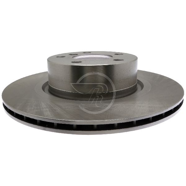 2011-2017 BMW X3 Disc Brake Rotor - Rear (Raybestos)