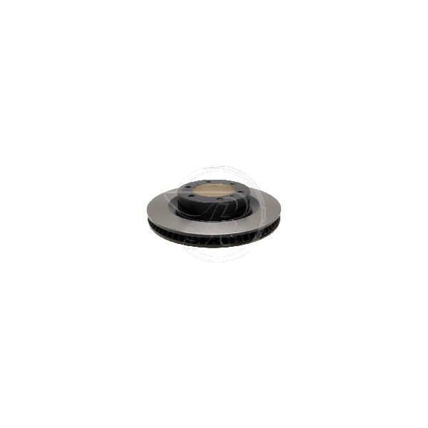 2010-2023 Lexus GX460 Disc Brake Rotor - Front (Raybestos)