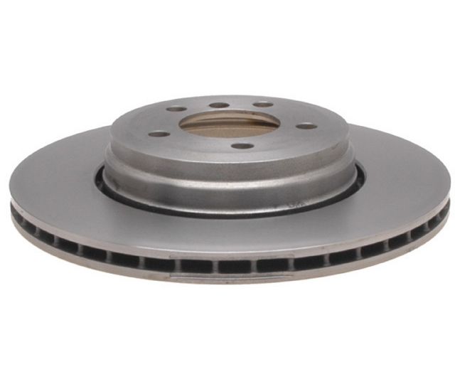 2004-2005 BMW 760i Disc Brake Rotor - Rear (Raybestos)