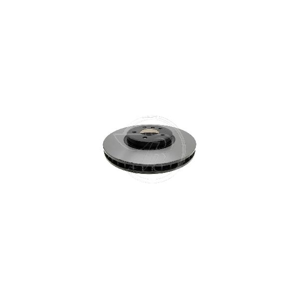 2008-2019 BMW X6 Disc Brake Rotor - Front (Raybestos)