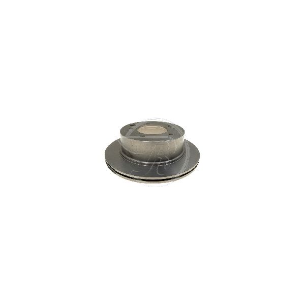 2003-2006 Kia Sorento Disc Brake Rotor - Rear (Raybestos)