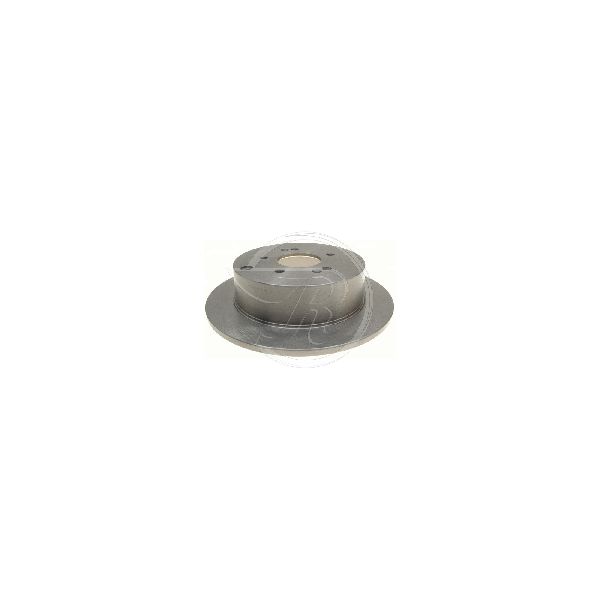 2007-2009 Hyundai Santa Fe Disc Brake Rotor - Rear (Raybestos)