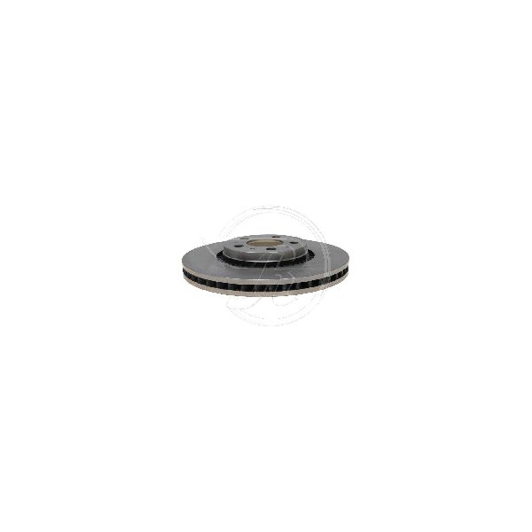 2004-2010 BMW X3 Disc Brake Rotor - Front (Raybestos)
