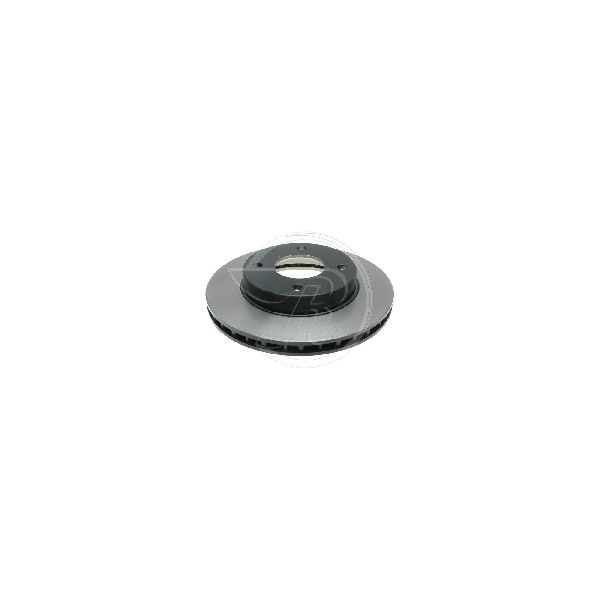 2000-2006 Nissan Sentra Disc Brake Rotor - Front (Raybestos)