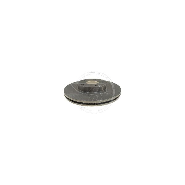 2002-2006 Nissan Altima Disc Brake Rotor - Front (Raybestos)