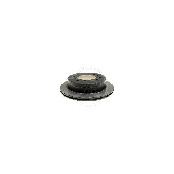 2007-2009 Toyota FJ Cruiser Disc Brake Rotor - Rear (Raybestos)