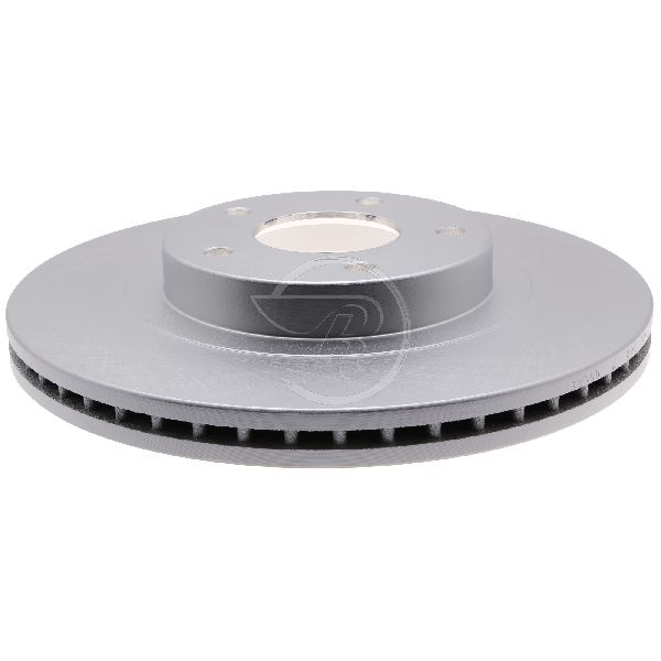 2002-2006 Nissan Altima Disc Brake Rotor - Front (Raybestos)