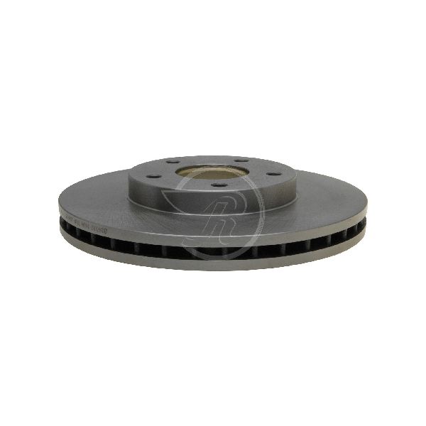 2005-2006 Nissan X-Trail Disc Brake Rotor - Front (Raybestos)
