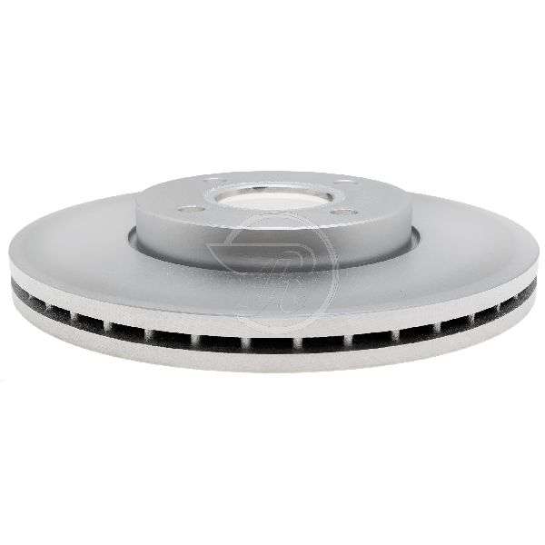 2005-2007 Ford Focus Disc Brake Rotor - Front (Raybestos)