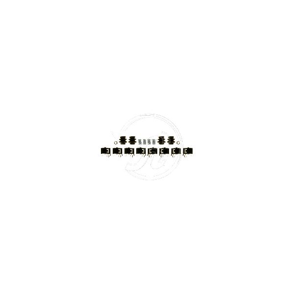 2016-2017 Lexus IS300 Disc Brake Hardware Kit - Rear (Raybestos)