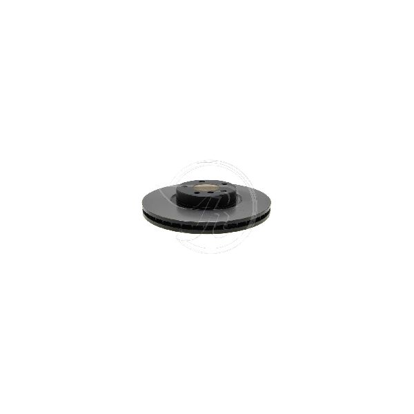 2008-2010 BMW X6 Disc Brake Rotor - Front (Raybestos)