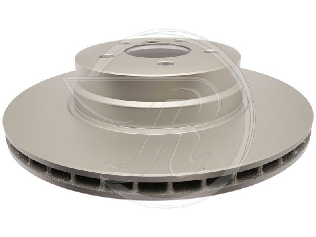 2008-2019 BMW X6 Disc Brake Rotor - Rear (Raybestos)