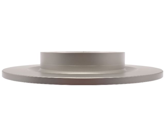 2017-2023 Honda Civic Disc Brake Rotor - Rear (Raybestos)