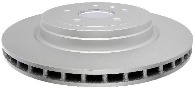 2012-2016 Tesla S Disc Brake Rotor - Rear (Raybestos)
