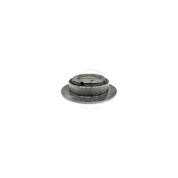2004-2006 Kia Amanti Disc Brake Rotor - Rear (Raybestos)
