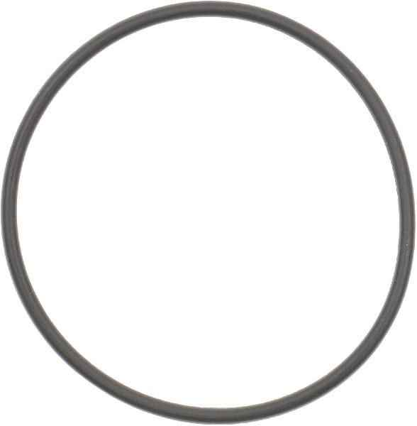 1995-2002 Chevrolet Cavalier Engine Coolant Outlet Gasket (Reinz)