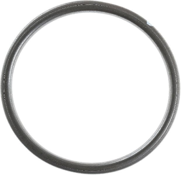 1999-2002 Nissan Quest Exhaust Pipe Flange Gasket (Reinz)