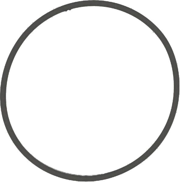 2006-2010 BMW 550i Engine Intake Manifold Gasket (Reinz)