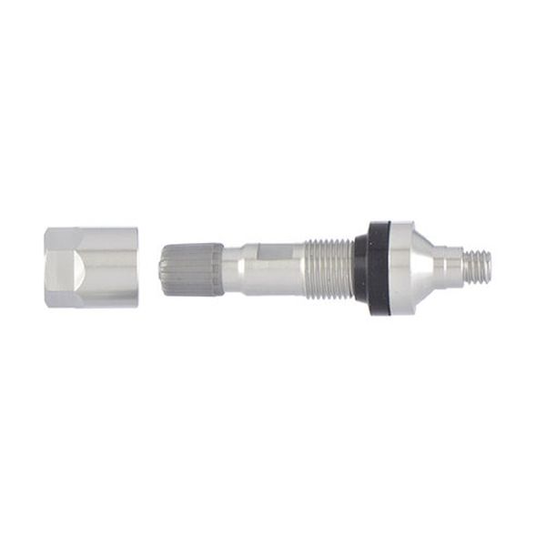 2012-2017 Kia Rio Tire Pressure Monitoring System (TPMS) Sensor Serv (Schrader)