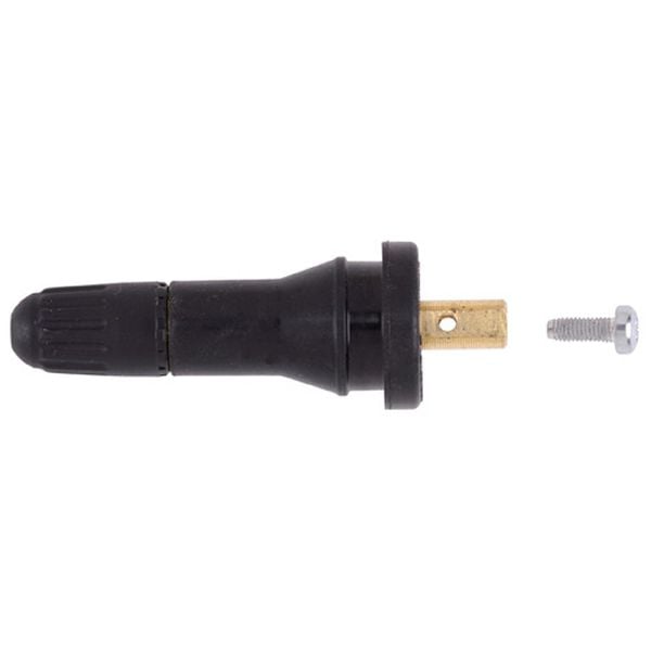 2010-2019 Chevrolet Equinox Tire Pressure Monitoring System (TPMS) Sensor Serv (Schrader)