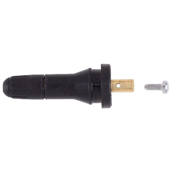 2010-2019 Chevrolet Equinox Tire Pressure Monitoring System (TPMS) Sensor Serv (Schrader)