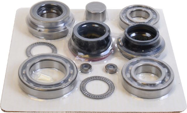 2009-2014 Ford F-150 Transfer Case Overhaul Kit (SKF)