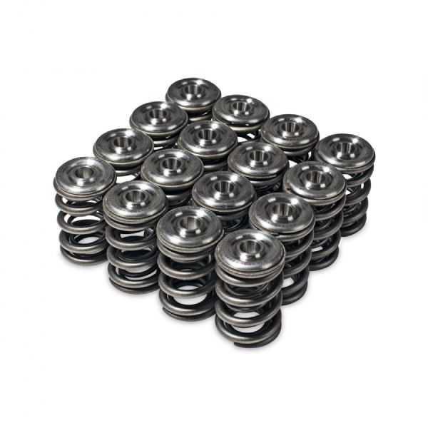 1993-2001 Honda Prelude Engine Valve Spring Kit (Skunk2 Racing)