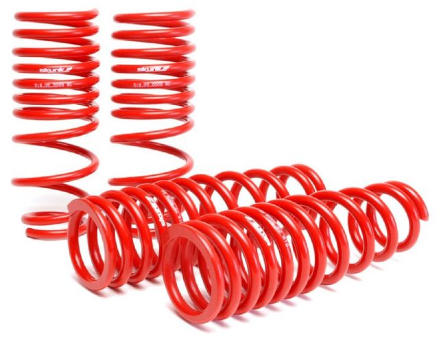 1993-1997 Honda Civic del Sol Coil Spring Set (Skunk2 Racing)