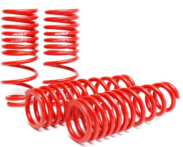 1994-2001 Acura Integra Coil Spring Set (Skunk2 Racing)