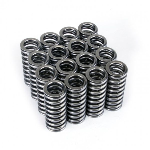 1987 Honda Wagovan Engine Valve Spring Kit (Skunk2 Racing)