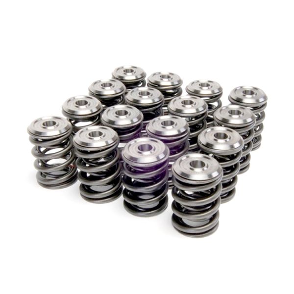 1994-1997 Honda Civic del Sol Engine Valve Spring Kit (Skunk2 Racing)